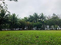 -万绿园