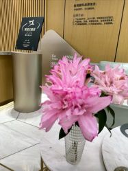-智美品质医美