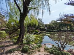 -秋霞圃