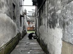-乌镇东栅景区