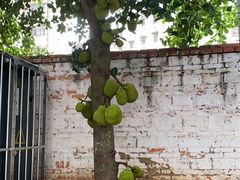 -永祥烧腊餐厅(虹口店)