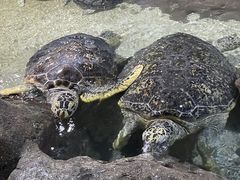 -郑州海洋馆