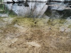 -碓臼峪自然风景区