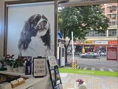 -瑞鹏宠物医院·微创内窥镜·骨外科·牙科(翠竹分院)