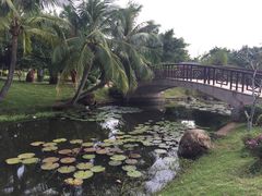 -白沙门生态公园