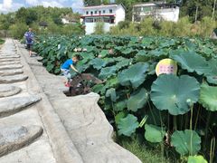 -中国有机生活公园