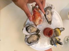 Oyster&nbsp;Talks&nbsp;蚝吧-Oyster Talks 四度蚝法餐厅