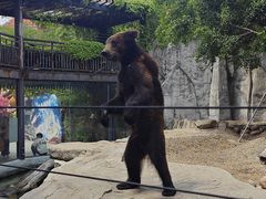 -灵玲国际马戏城