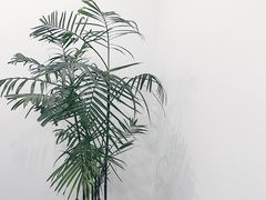 -浆木咖啡馆(湘子庙街店)
