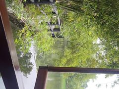 -绿荫坊餐厅(共青森林公园店)