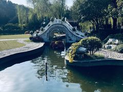 -盆景园(扬州大运河文化旅游度假区)