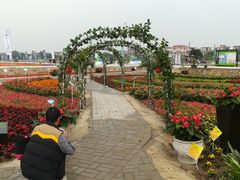 -润记农家菜