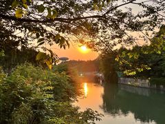 -西溪国家湿地公园