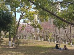 -堤角公园