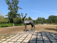 -北京麋鹿生态实验中心