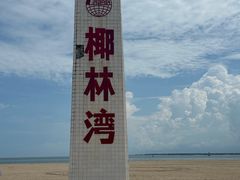 -东郊椰林