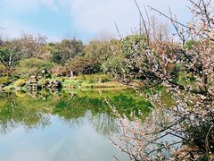 -杭州植物园