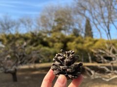 -颐和园