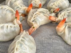 -小叶大馅饺子城