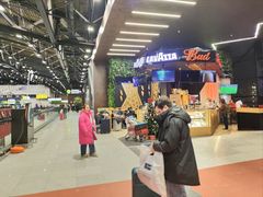 -谢列梅捷沃国际机场