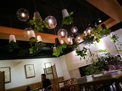 -柴务处·柴犬主题狗咖