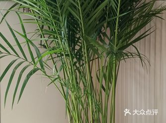 又是一个愉快的周末  来到一个温馨的，大自然的环境