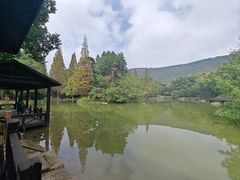 -宝岩生态观光园