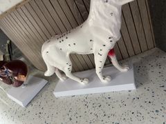 -半岛宠物医院24小时(白果林店)