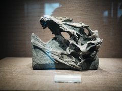 -自贡恐龙博物馆