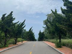 -养马岛旅游度假区