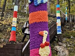 -莫尔道嘎国家森林公园