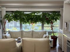-精德口腔·种植修复·儿牙中心(财富中心店)