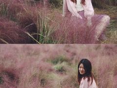 -映月湖中央公园