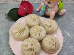 -安徽皖嫂家政月嫂经开区