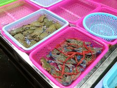 -都斛海鲜街