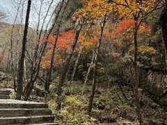 -驼梁风景区