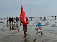 -红树林天天赶海