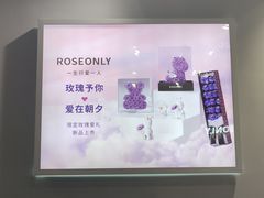-ROSEONLY诺誓(国际广场购物中心店)