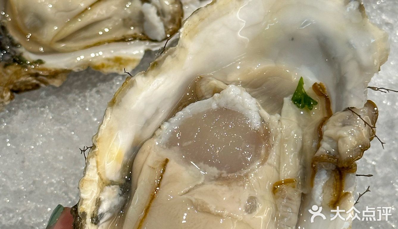 实在拒绝不了!!!太鲜美了~