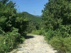 -阳台山自然风景区