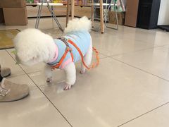 -艾贝尔宠物医院 ·中兽医·宠保定点(北门桥店)