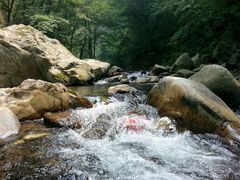 -田峪河公园