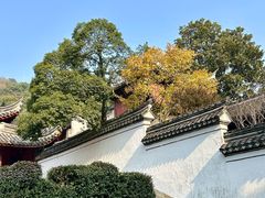-宁波市保国寺古建筑博物馆