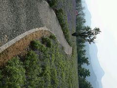 android_upload_pic-紫云台香草园