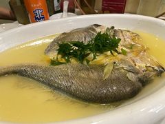 鸡汤浸深海大黄鱼-月福京味斋·烤鸭店·北京菜(鼓楼总店)
