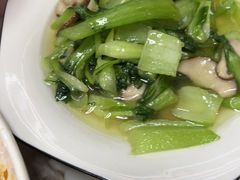 -宝荣鱼馆·临湖之宴(千岛湖店)