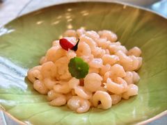 -上海和平饭店龙凤厅 Dragon Phoenix