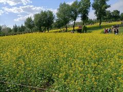 -长白岛森林公园