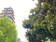 -大慈恩寺(大雁塔)