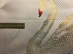 -BLACKSWAN黑天鹅(环球店)